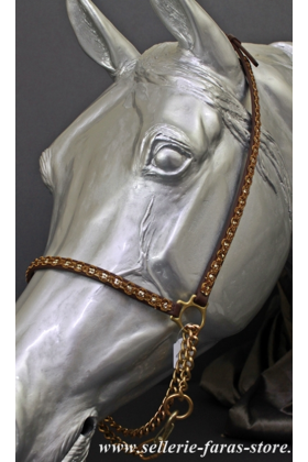 arabian horse bronze showhalter